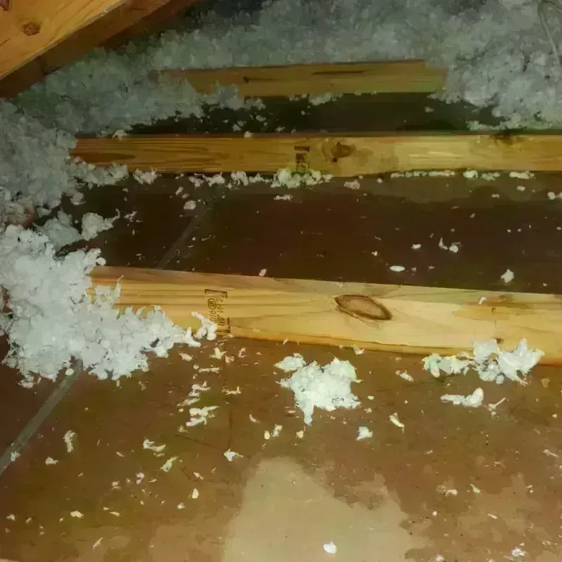 Attic Water Damage in Fayette, MS