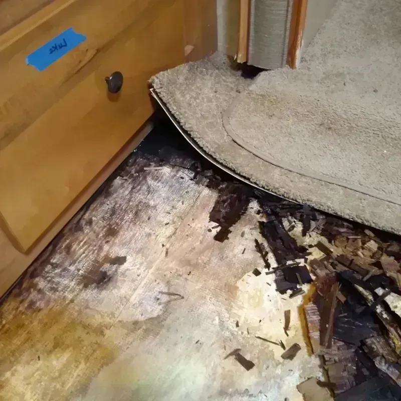 Wood Floor Water Damage in Fayette, MS